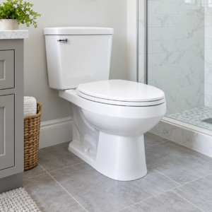 Illustrative toilet service image; not a photo of a specific customer job